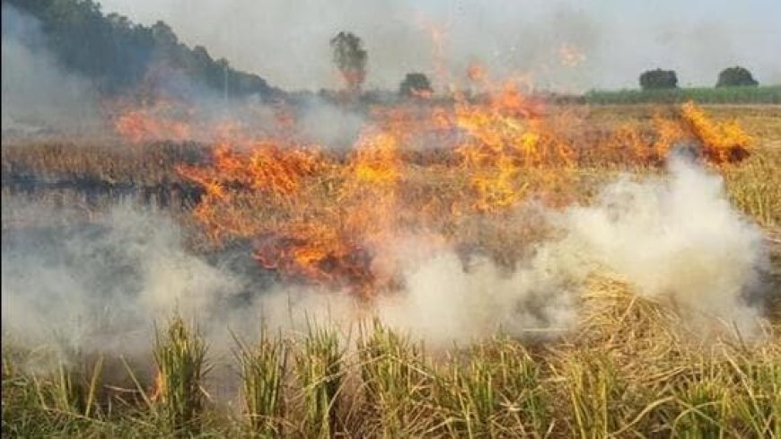 किसान भाइयों से निवेदन।