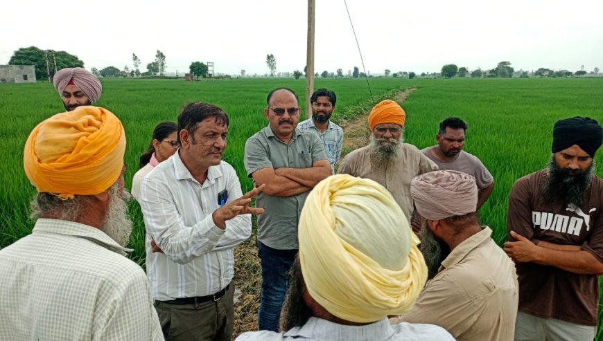 कृषि विभाग ने किया गांव चाबा का दौरा