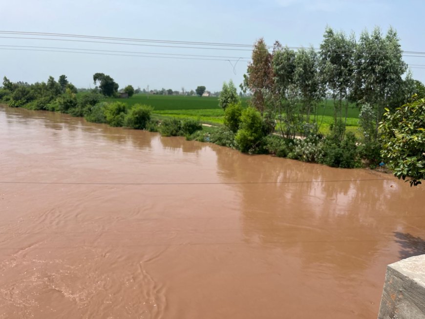 घग्घर नदी में पानी का स्तर कम होने से किसानों को मिली राहत
