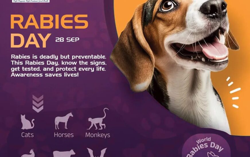 विश्व रेबीज़ दिवस