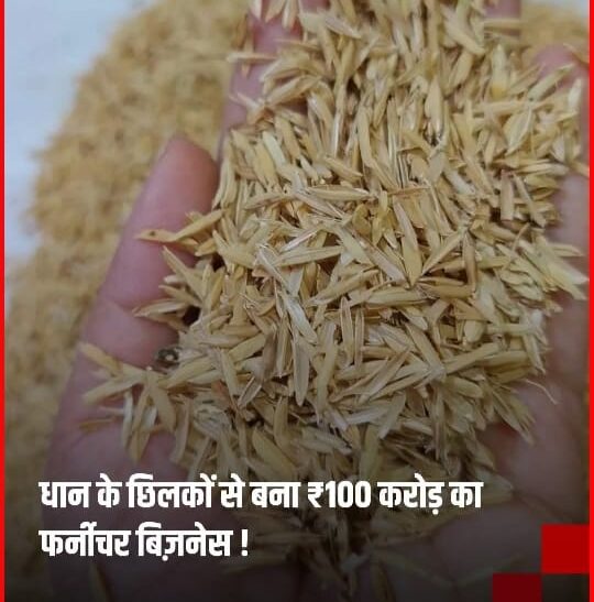 सोचिए, अगर फर्नीचर बनाने के लिए अब जंगल नहीं काटने पड़ें तो?