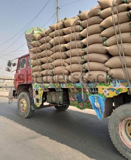 धान घोटाला और फर्जीवाडामेरे इस लेख के माध्यम से समझते हैं धान घोटाले व खरीद के फर्जीवड़े के हर पहलू को