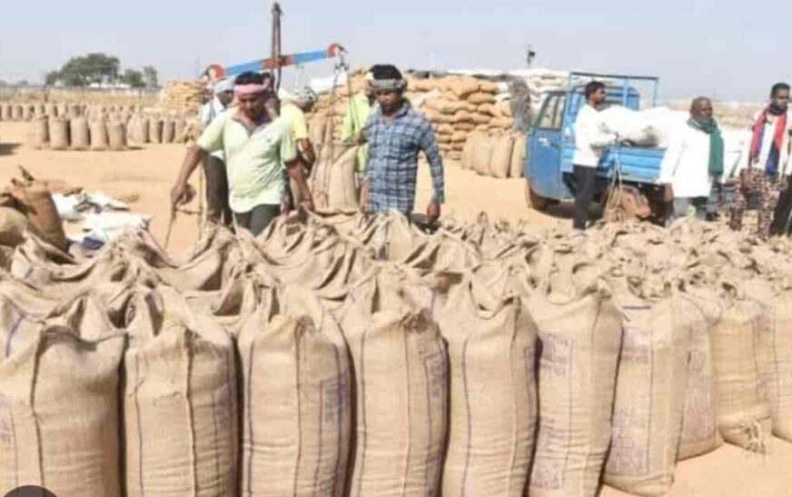 हरियाणा सरकार ने धान खरीद घोटाले के बाद मंडियों में पारदर्शिता लाने के लिए एक नई व्यवस्था लागू करने का निर्णय लिया है