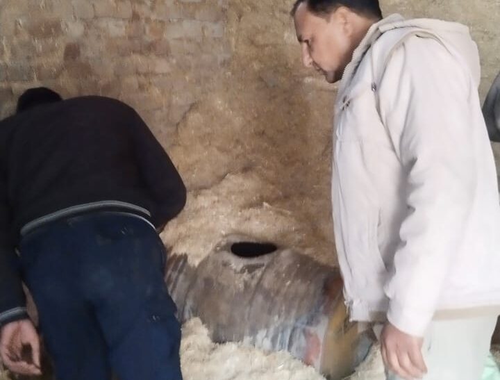 ऑपरेशन हॉटस्पॉट डॉमिनेशन के तहत गांव मढ़ में फतेहाबाद पुलिस की बड़ी कार्रवाई : अवैध लाहन के खिलाफ कसा शिकंजा– डॉग स्क्वाड टीम के सदस्य ‘जैक-रैंबो’ व कमांडो टीम की मदद से सघन सर्च, 100 लीटर लाहन बरामद